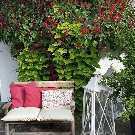 Ξενοδοχείο Hotel Corona Cuvio